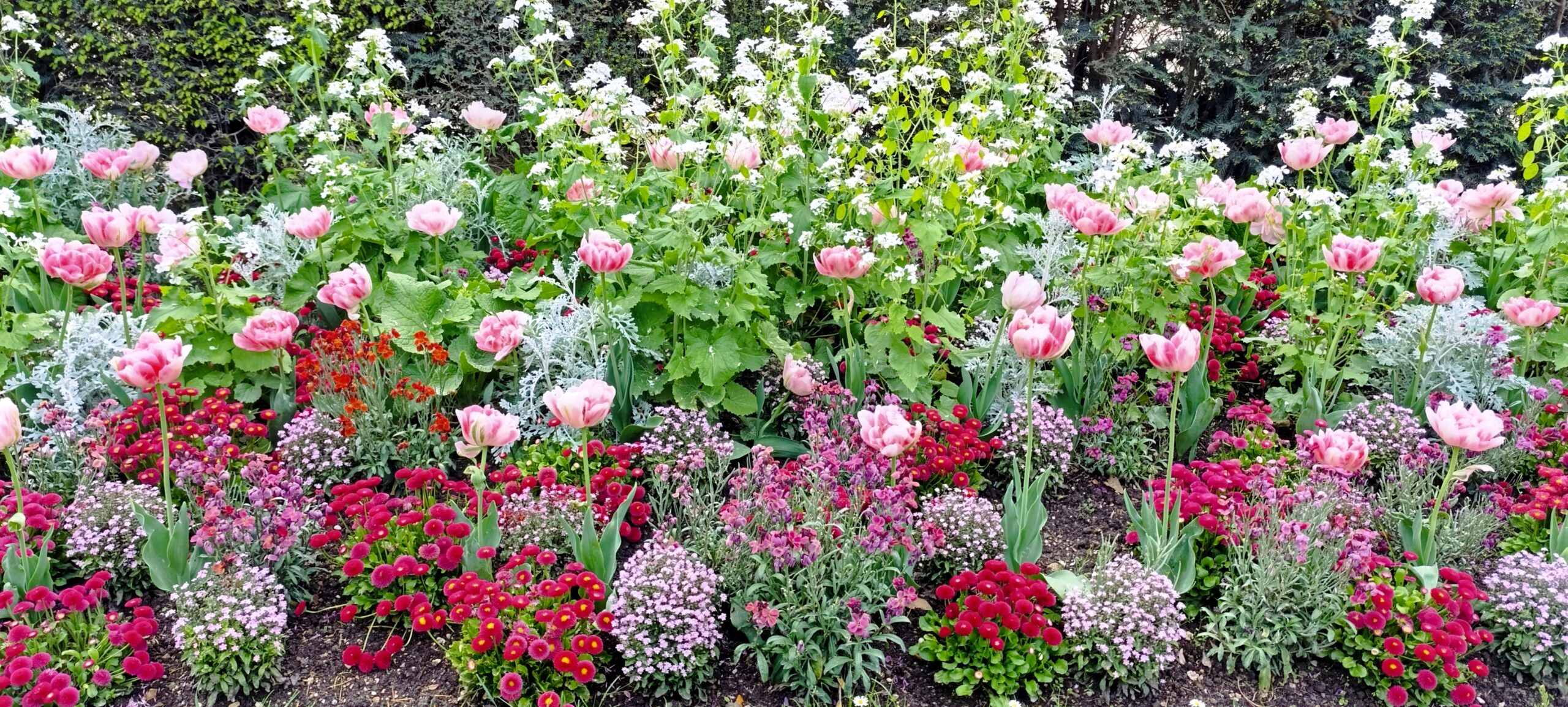 A Flower Bed in the Luxembourg Garden in Paris