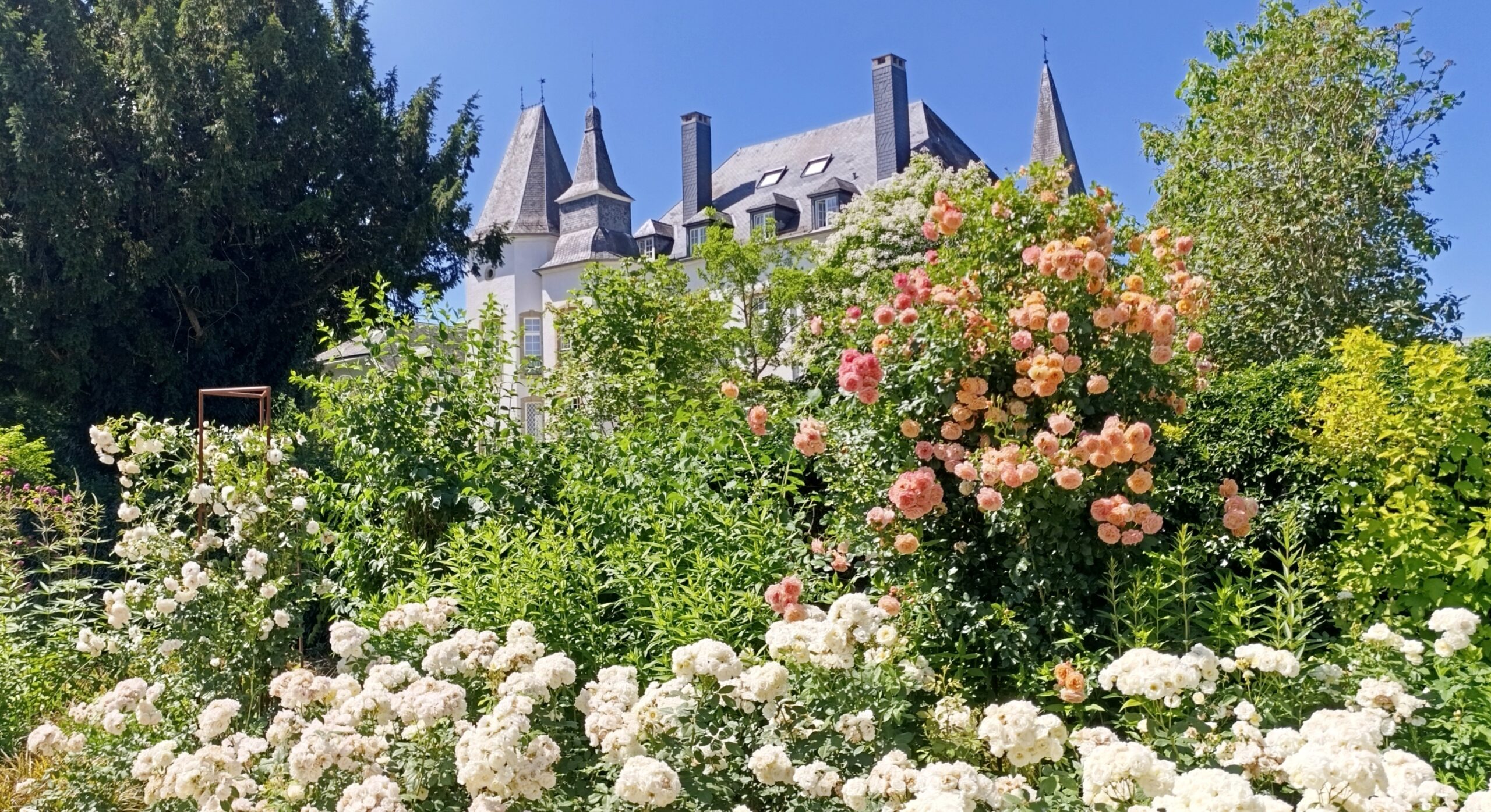 Luxembourg – “Land of roses”